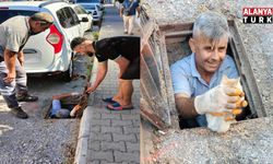 Kanalizasyona düşen kedi belediye ekiplerince kurtarıldı