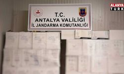 Jandarmadan kaçak alkol operasyonu