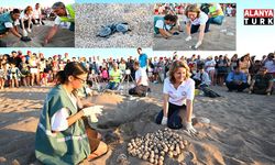 Antalya Mavi Akdeniz İnisiyatifi Kapsamında Caretta Caretta Yavruları Denizle Buluştu