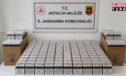 Alanya’da kaçak tütün operasyonu