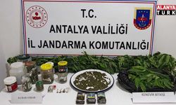 Uyuşturucu operasyonunda yakalanan 2 şüpheli tutuklandı