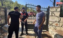 Kumluca'da sokak kedisi orman yangınından kurtarıldı