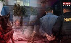 20 İLDE UYUŞTURUCU OPERASYONU: 41 ŞÜPHELİ TUTUKLANDI