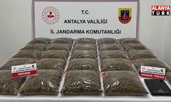 Antalya ve Bursa’da Uyuşturucu Operasyonu: 13 Kilo Skunk Ele Geçirildi