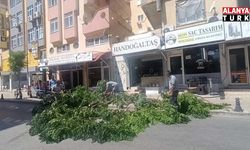 Fırtınanın devirdiği ağaç nedeniyle yol trafiğe kapatıldı