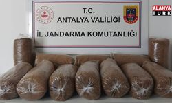 Alanya’da kaçak tütün operasyonu: 72 kilo tütün ele geçirildi