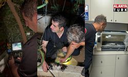 30 metrelik sondaj kuyusuna düşen yavru kedi itfaiyenin 5 saatlik film gibi operasyonu ile kurtarıldı
