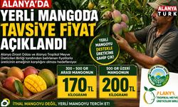 Alanya mangosunda fiyat belli oldu: Üretici için kilogram hesabı