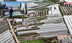 Antalya’da üreticilere 1 yılda 657 bin 400 metrekare sera naylonu hibe edildi