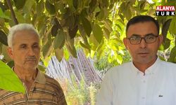 Alanya’da avokadoda hasat sezonu başladı: Üreticiye fiyat komisyonu çağrısı