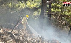 Alanya’da ormanlık alanda çıkan yangın söndürüldü