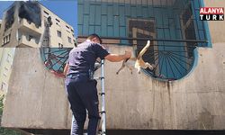 Yangından korkan hamile kediyi itfaiye kurtardı