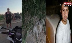 ATV aracın çarptığı yavru köpeğin taşla öldürüldüğü iddiası ortalığı karıştırdı