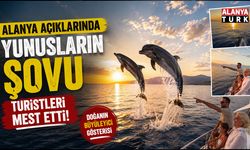Alanya açıklarında yunusların şovu turistleri mest etti