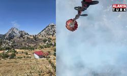 Alanya'nın iki ayrı mahallesindeki ormana sıçrayan yangın söndürüldü