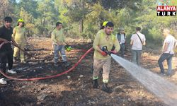 Antalya'da çıkan orman yangın kontrol altına alındı