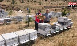 Alanya’da arıcılar sahada: Üreticilere kontrol ve bilgilendirme
