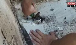 Yağmur suyu giderine sıkışan yavru kediyi itfaiyeciler kurtardı