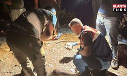 Mevlide gitmek için çıkıp 15 aydır kayıp olarak aranan yaşlı adam olayında kafatasından sonra takma diş detayı