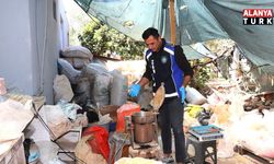 Antalya'da merdiven altı işletmeye denetim: Yarım ton keçiboynuzuna el konuldu