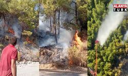 Manavgat'ta orman yangını