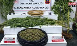 Alanya’da uyuşturucu operasyonu: 12 kilo 650 gram skunk ele geçirildi