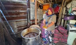 Torosların taş eriği sofralara iniyor 10 kilo erikten 1 kilo ekşi çıkıyor kilogramı 500 liradan satılıyor