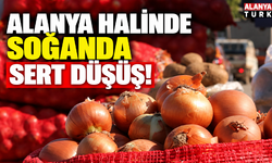 Alanya halinde soğanda sert düşüş!