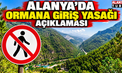 Alanya'da orman yasakları devam edecek mi? Açıklama geldi