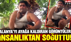 Alanya'da kuşlara yönelik şiddet kamerada: Birinin kafasını ağzıyla diğerinin bıçakla kesti