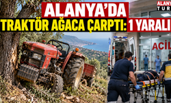 Alanya’da Traktör Ağaca Çarptı: 1 Yaralı
