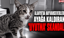 Alanya'da hayvanseverleri ayağa kalktı: 'Diyafram yırtığı var' dediler...
