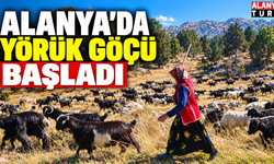 Bin Yıllık Gelenek! Alanya’da Yörük Göçü Başladı