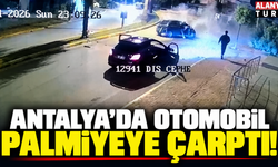 Antalya'da otomobil palmiyeye çarptı: 2 yaralı