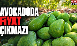 Avokadoda fiyat çıkmazı