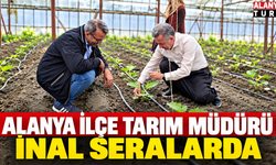 Alanya İlçe Tarım Müdürü İhsan İnal Alanya Şalvarıyla Serada!