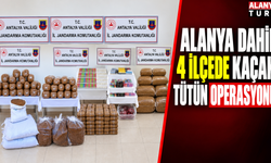 Alanya dahil 4 ilçede kaçak tütün operasyonu