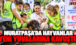 Muratpaşa'da 2026'da 287 sokak hayvanı yeni yuvasına kavuştu