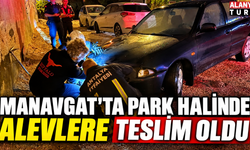 Manavgat'ta park halinde alevlere teslim oldu