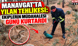 Manavgat'ta yılan tehlikesi: Ekiplerin müdahalesi günü kurtardı