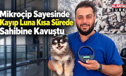 Mikroçip Sayesinde Kayıp Luna Kısa Sürede Sahibine Kavuştu