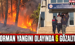 Serik'te orman yangını olayında: 6 gözaltı