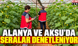 Alanya ve Aksu’da seralar tek tek inceleniyor