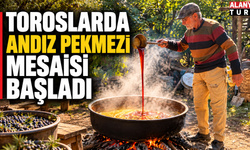 Toroslarda Andız Pekmezi sezonu başladı