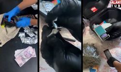 Antalya’nın da aralarında bulunduğu 75 ilde uyuşturucu operasyonu