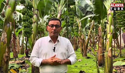 Tahir Göktepe: Muz fiyatı 40 TL’nin altına inerse üretim biter