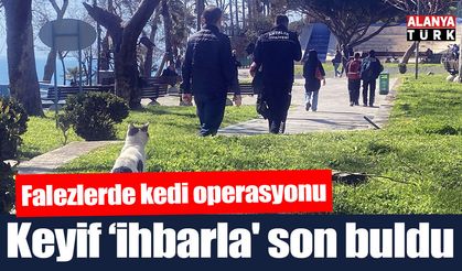 Falezlerde kedi operasyonu