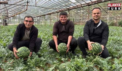 Kış karpuzu hasadı için geri sayım başladı