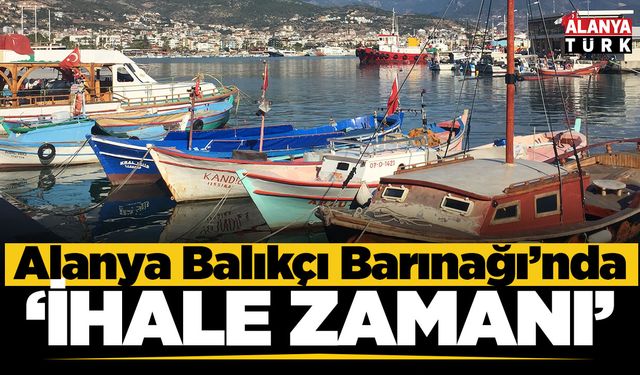 Alanya Balıkçı Barınağı'nda ihale zamanı