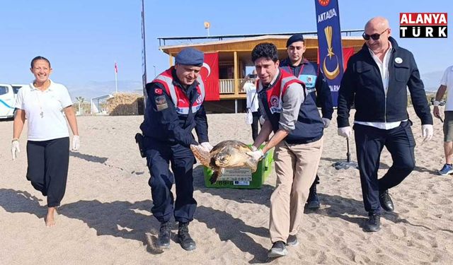 Tedavisi tamamlanan caretta denize bırakıldı